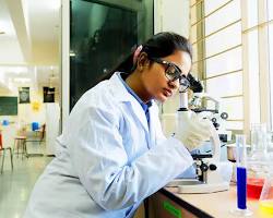 Diploma in Pharmacy (D.Pharma)